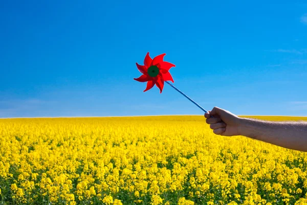 Hand with pinwheel in a field of yellow rape against the blue s — Stock Photo, Image