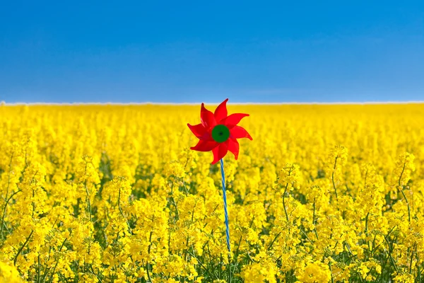 Větrník v oblasti žluté řepky proti modré obloze — Stock fotografie