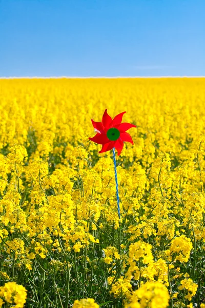 Pinwheel in a field of yellow rape against the blue sky — Stock Photo, Image