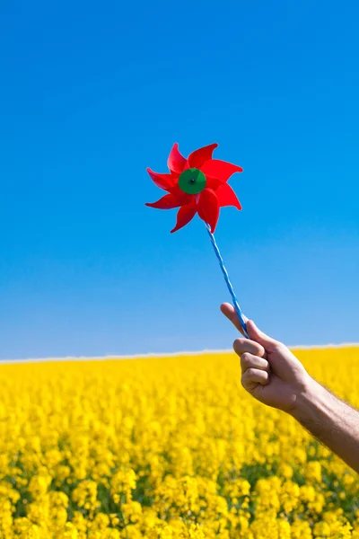 Mão com pinwheel em um campo de estupro amarelo contra o azul s — Fotografia de Stock