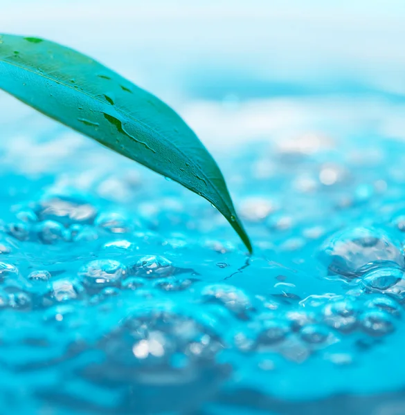 Gota de água e folhas verdes em um fundo azul — Fotografia de Stock