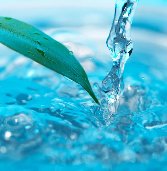 Gota de água e folhas verdes em um fundo azul — Fotografia de Stock