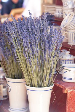 Fuarda bir vazoda kurutulmuş lavanta çiçekleri