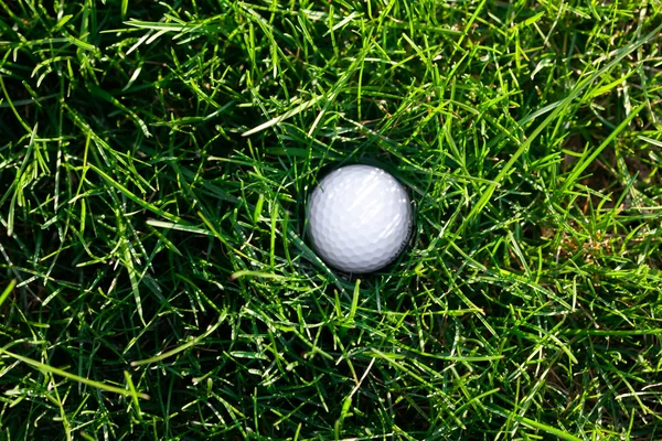 Фон весенней зеленой травы и мяч для гольфа — стоковое фото