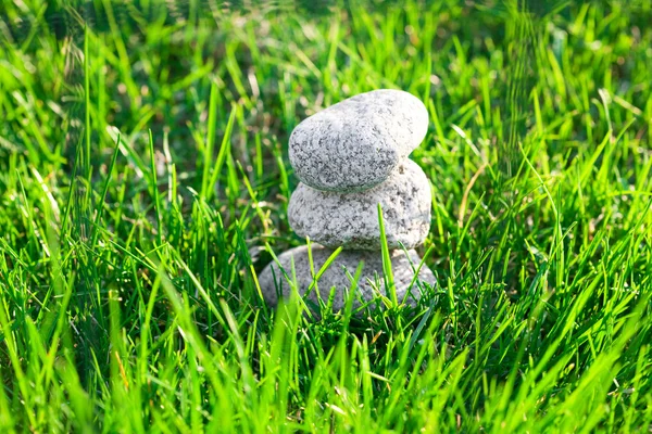 Камни на фоне пышной весенней зеленой травы — стоковое фото