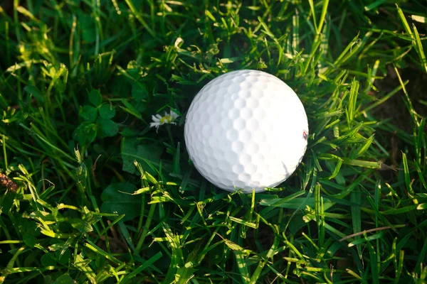 春绿草和高尔夫球场球的背景 — 图库照片