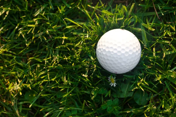 Fundo da primavera grama verde e bola de golfe — Fotografia de Stock