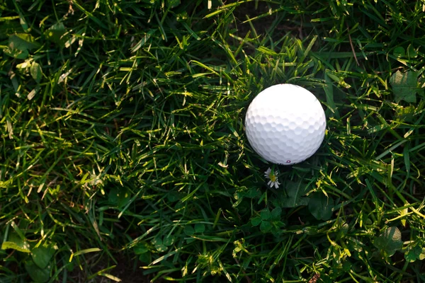 वसंत ऋतू हिरवा गवत आणि गोल्फ चेंडू पार्श्वभूमी — स्टॉक फोटो, इमेज