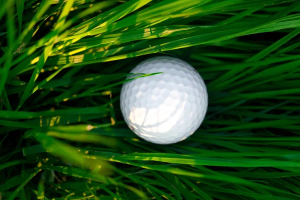 Фон весенней зеленой травы и мяч для гольфа — стоковое фото