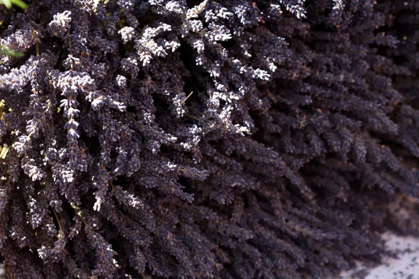 Sfondo di fiori di lavanda essiccati alla fiera — Foto Stock