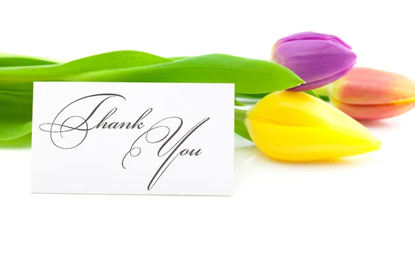 Colorful tulips and a card signed thank you isolated on white — Stock Photo, Image