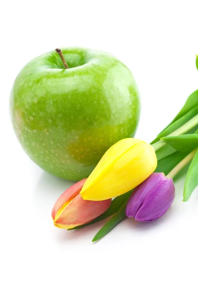 Tulipanes coloridos y manzana aislada en blanco — Foto de Stock