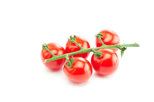 Група помідорів ізольована на білому — стокове фото