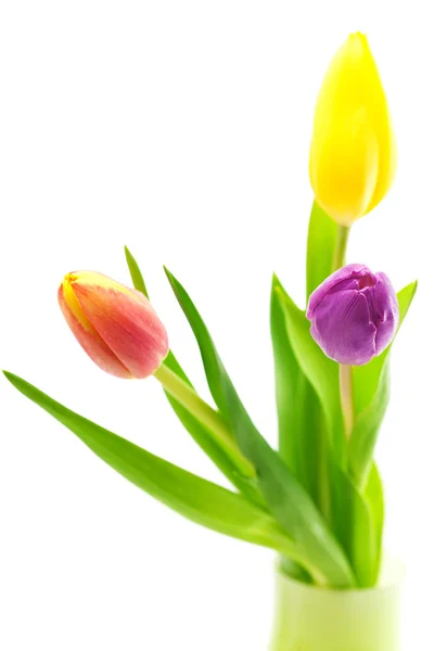 Bunte Tulpen in der Vase isoliert auf weiß — Stockfoto