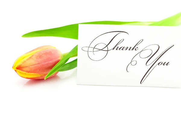 Färgglada tulpaner och en kort undertecknat tack isolerad på vit — Stockfoto