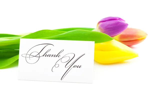 Colorful tulips and a card signed thank you isolated on white — Stock Photo, Image