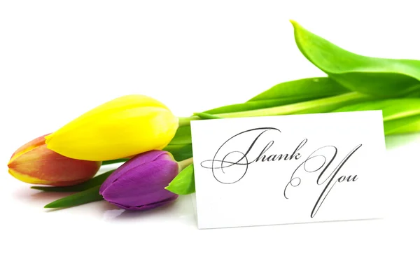 Tulipanes coloridos y una tarjeta firmada gracias aislado en blanco —  Fotos de Stock