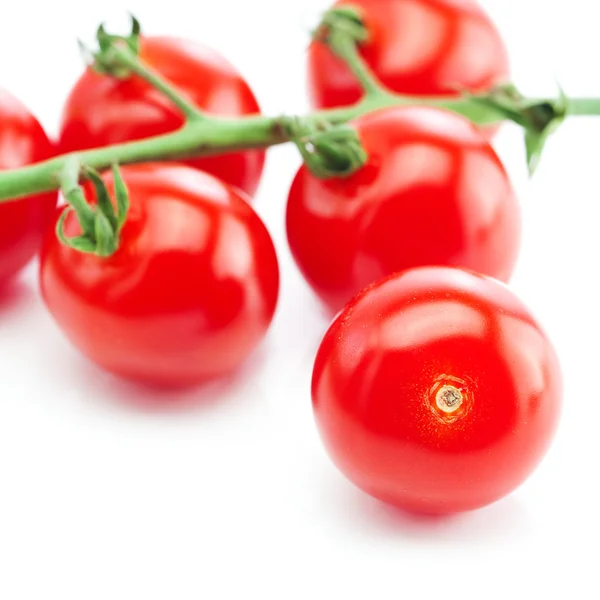 Banda rajčete izolovaných na bílém — Stock fotografie