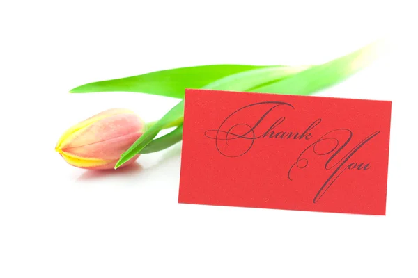 Barevné tulipány a kartu podepsali Děkuji izolované na bílém — Stock fotografie