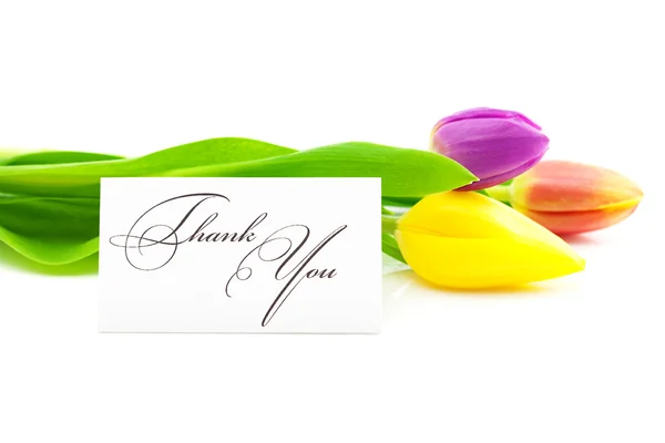 Красочные тюльпаны и открытка подписана спасибо изолированы на белом — стоковое фото