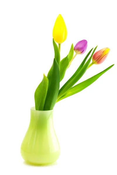 Барвисті тюльпани у вазі ізольовані на білому — стокове фото