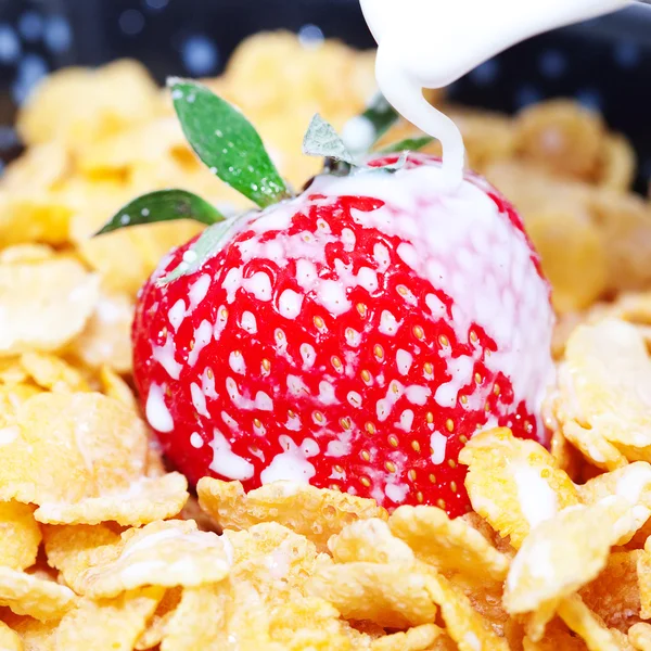 Strawberry,milk and flakes in a bowl — Stock Photo, Image