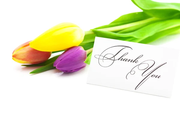 Kleurrijke tulpen en een kaart ondertekend dank u geïsoleerd op wit — Stockfoto