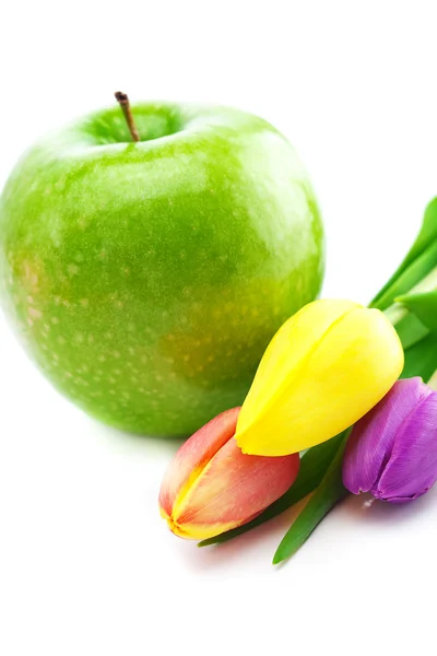 Барвисті тюльпани і яблуко ізольовані на білому — стокове фото
