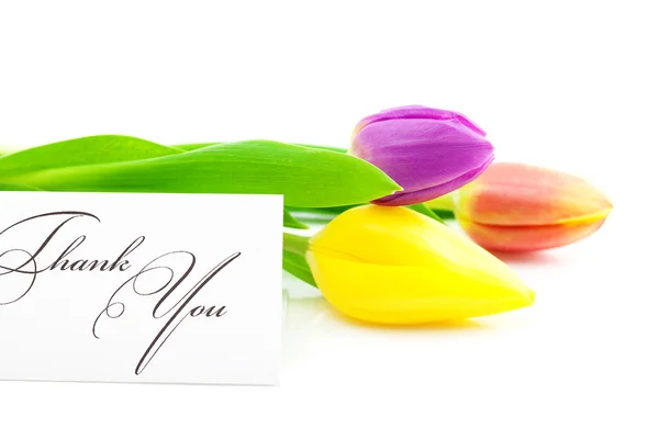 Barevné tulipány a kartu podepsali Děkuji izolované na bílém — Stock fotografie