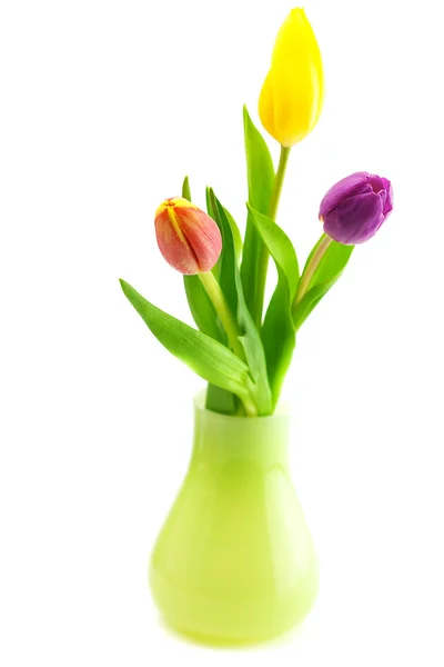 Färgglada tulpaner i vas isolerad på vit — Stockfoto