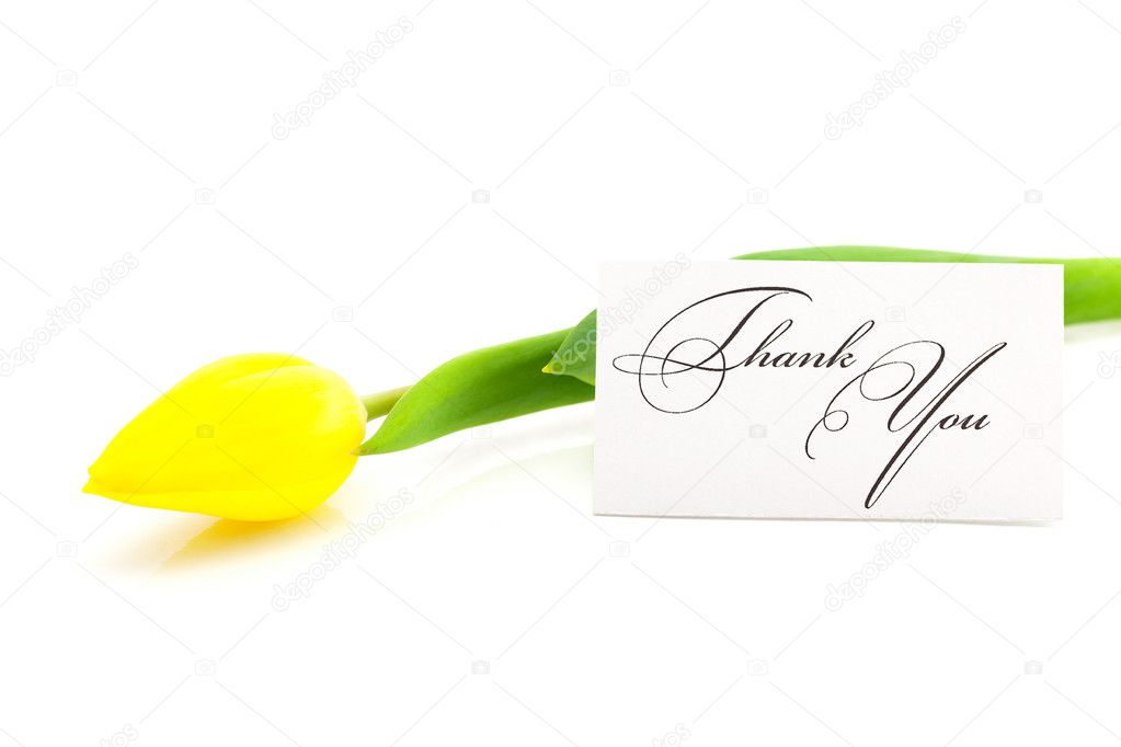 Colorful tulips and a card signed thank you isolated on white