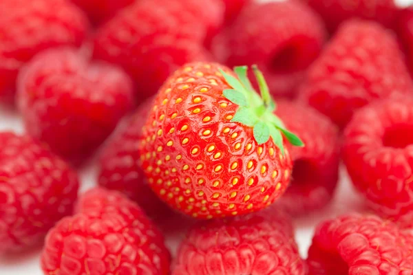 关于背景树莓草莓 — 图库照片