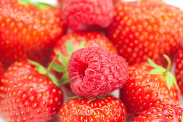 背景下的草莓树莓 — 图库照片