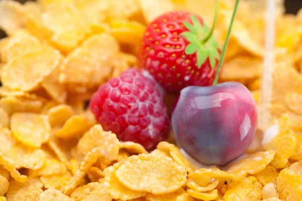 Fresa, frambuesa, cereza, leche y copos en un bol — Foto de Stock