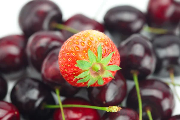 Strawberry on background cherry — Stock Photo, Image