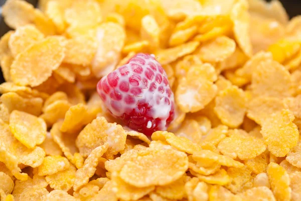 Raspberry,milk and flakes in a bowl — Stock Photo, Image