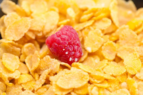 Raspberry,milk and flakes in a bowl — Stock Photo, Image