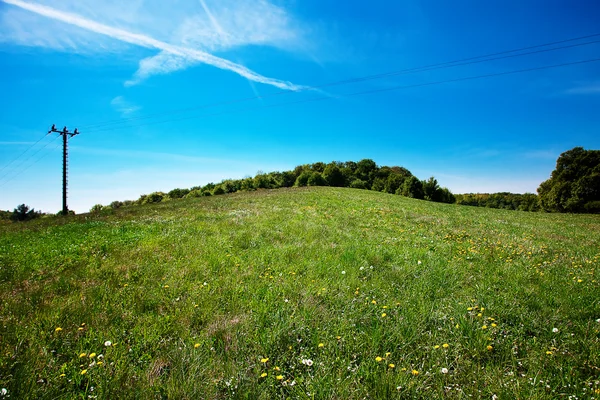 Padang rumput dan listrik garis melawan langit biru — Stok Foto