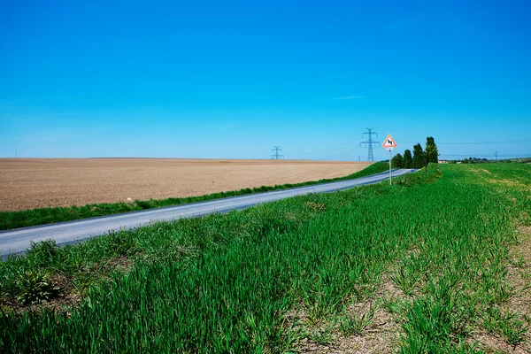 青空を背景と草原と電力線 — ストック写真