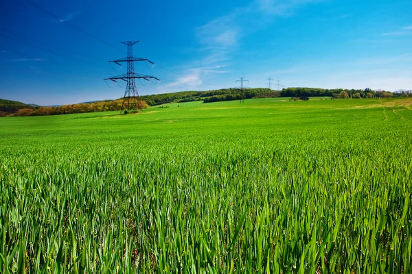 stock image Meadow and power line against the blue sky