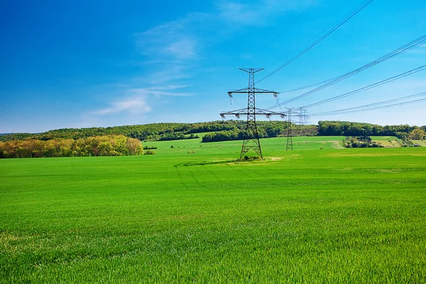 Meadow and power line against the blue sky