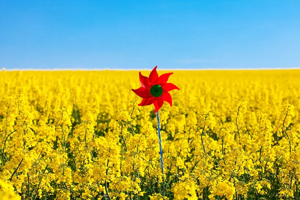 Pinwheel in a field of yellow rape against the blue sky — Stock Photo, Image