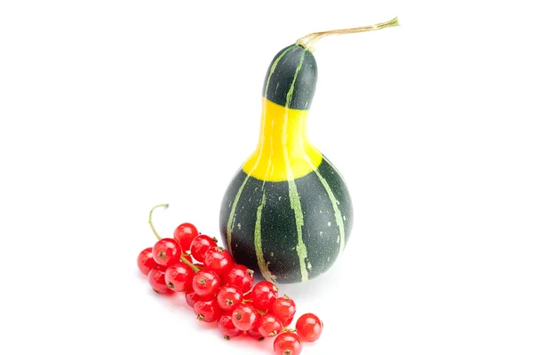 Yellow green china pumpkin and red currant isolated on white — Stock Photo, Image
