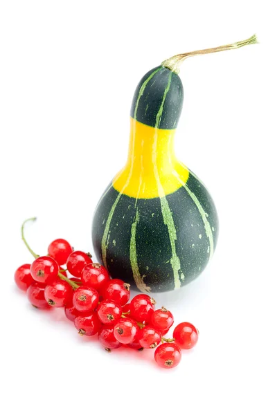Calabaza china verde amarillo y grosella roja aislados en blanco —  Fotos de Stock