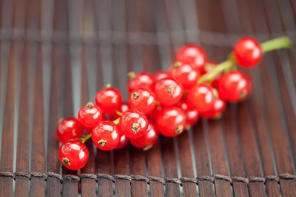 Gren av röda vinbär på en bambu matta — Stockfoto