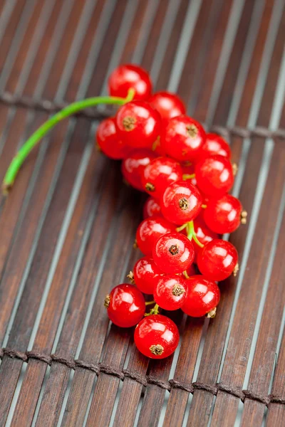 Tak van rode aalbessen op een bamboe-mat — Stockfoto
