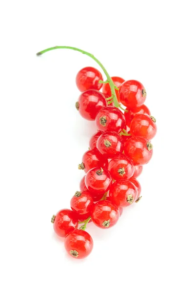Branche de groseille rouge isolée sur blanc — Photo