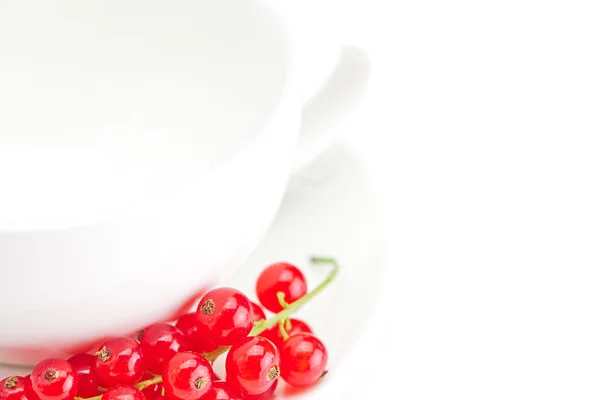 Rama de grosellas rojas y una taza con un plato aislado en blanco — Foto de Stock
