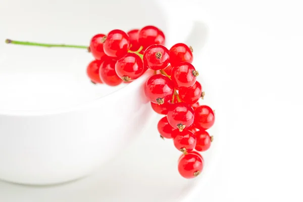 Branch of red currants and a cup with a plate isolated on white — Stock Photo, Image