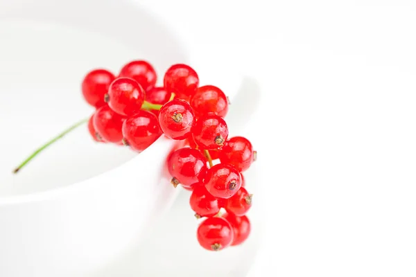 Branch of red currants and a cup with a plate isolated on white — Stock Photo, Image